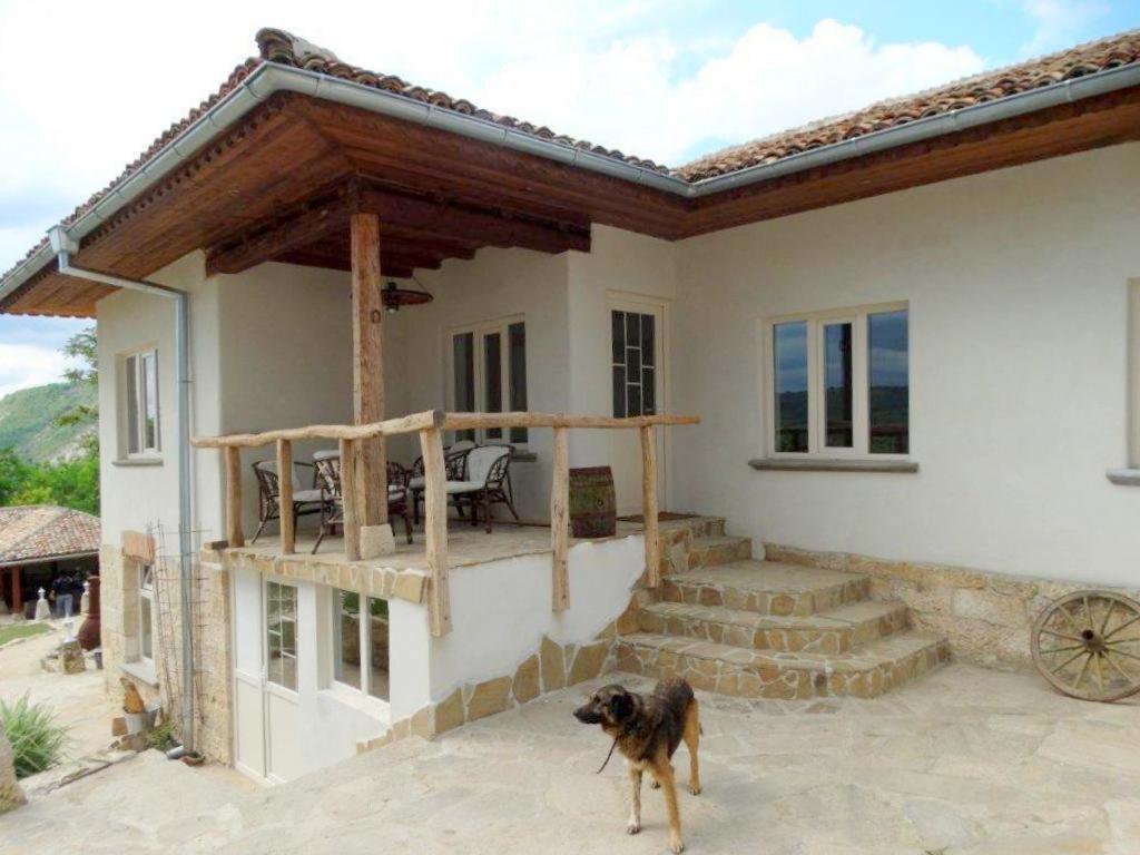 Guest House Biekorf Kostandenets Exterior photo